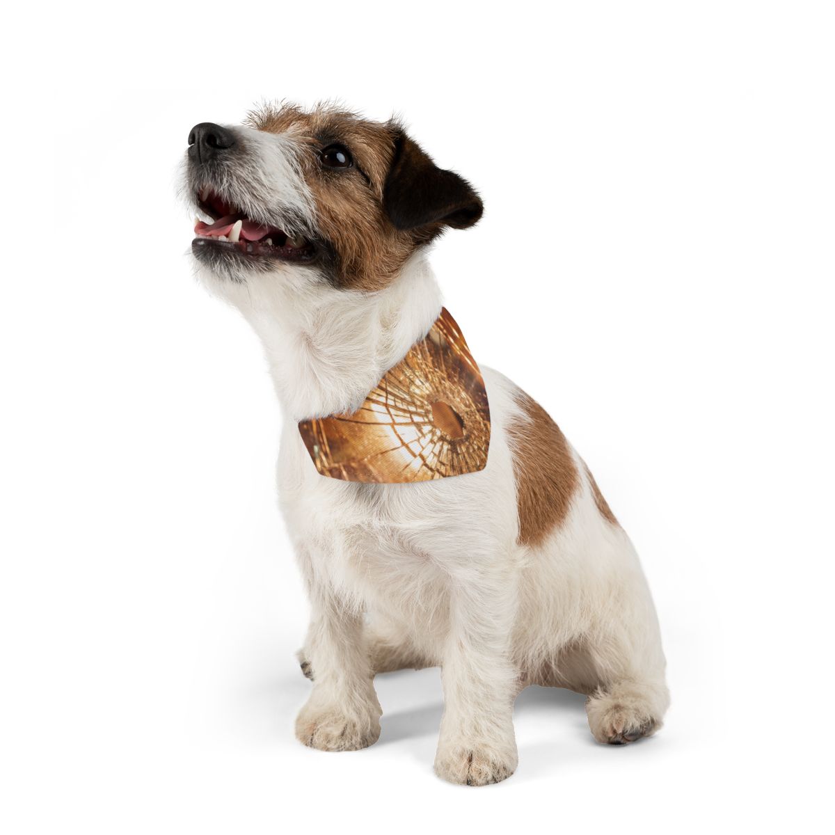 Pet Bandana Collar - Geometric Glow