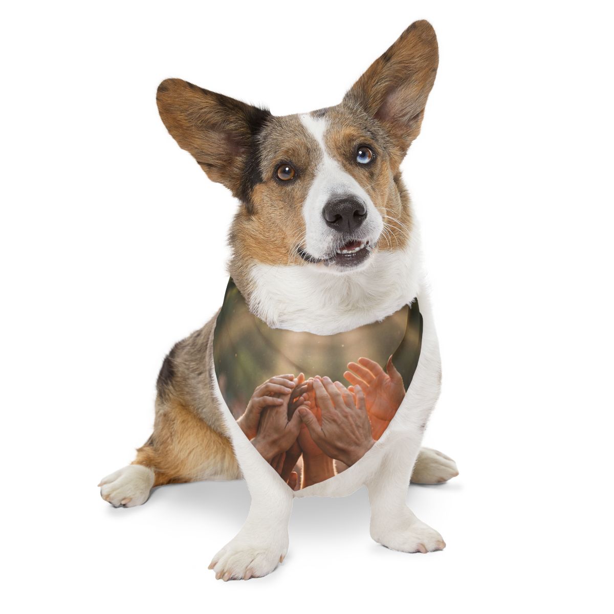 Pet Bandana Collar - Golden Rays of Unity Wall Art |...