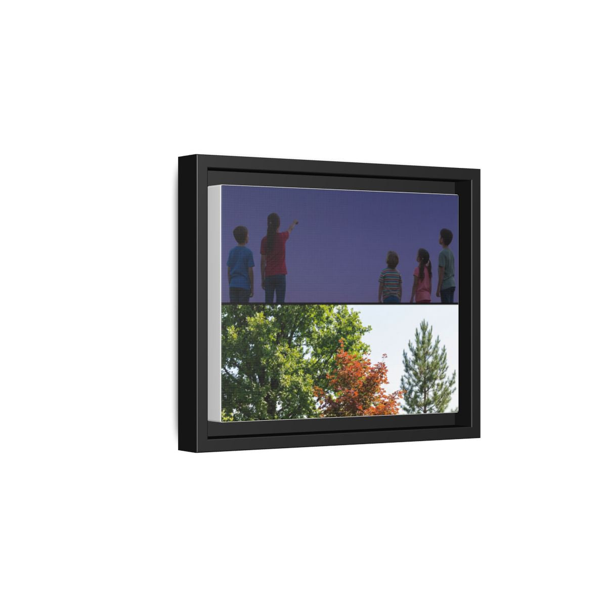 Framed Matte Canvas - Wilderness Gallery