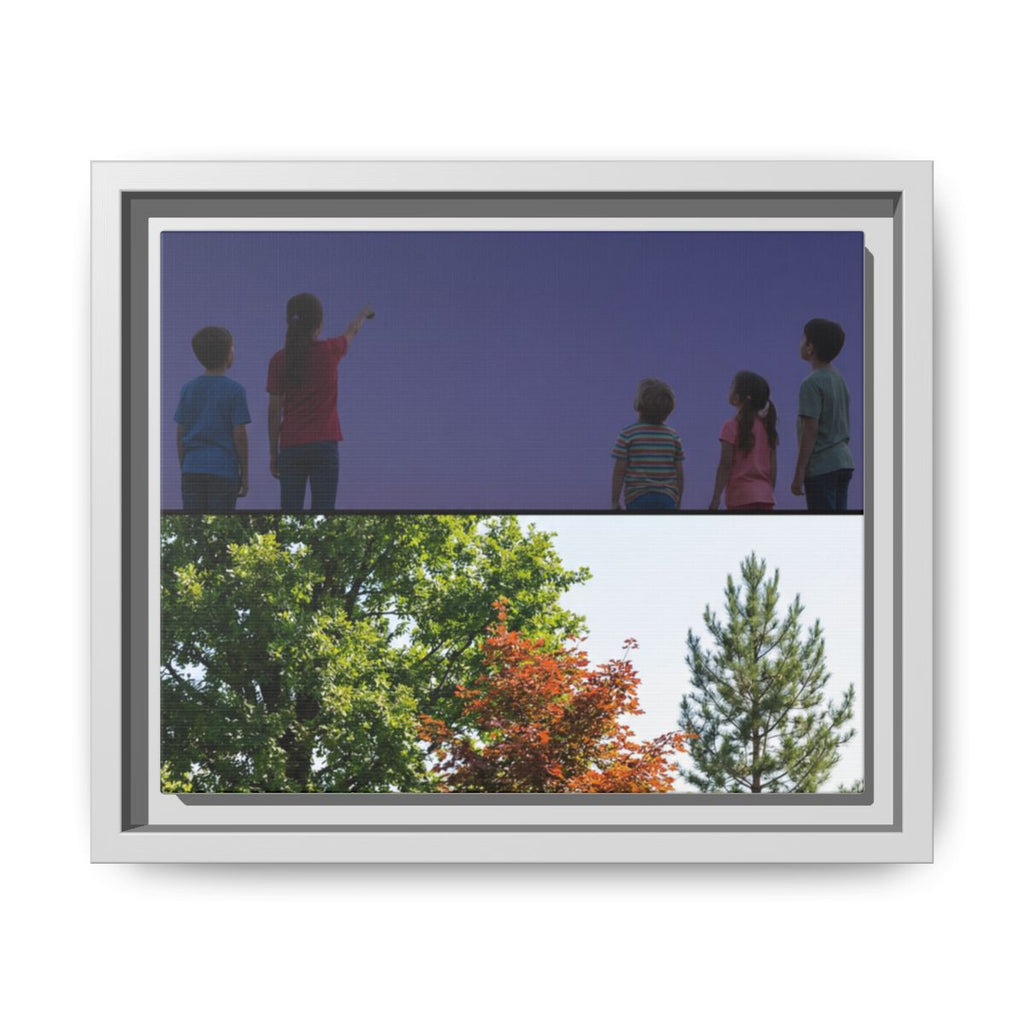Framed Matte Canvas - Discovery — White / 1.25"