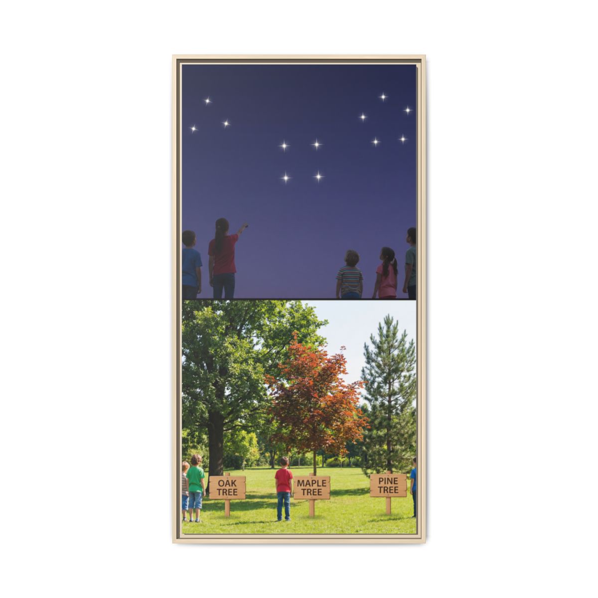 Framed Matte Canvas - Discovery — Natural / 1.25"