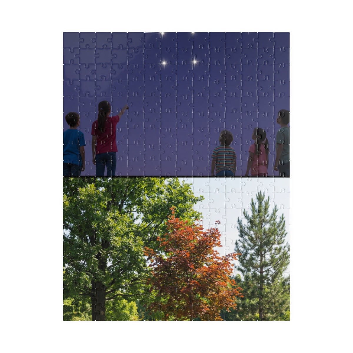 Premium Puzzle - Nature Lesson