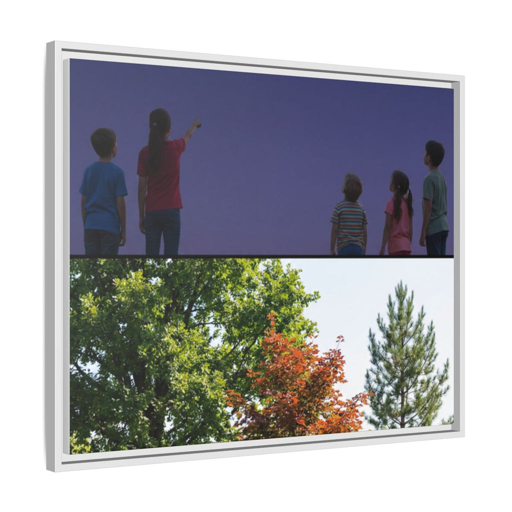 Framed Matte Canvas - Discovery — White / 1.25"