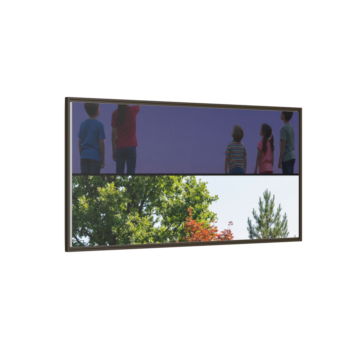 Framed Matte Canvas - Wilderness Gallery — Espresso / 1.25"