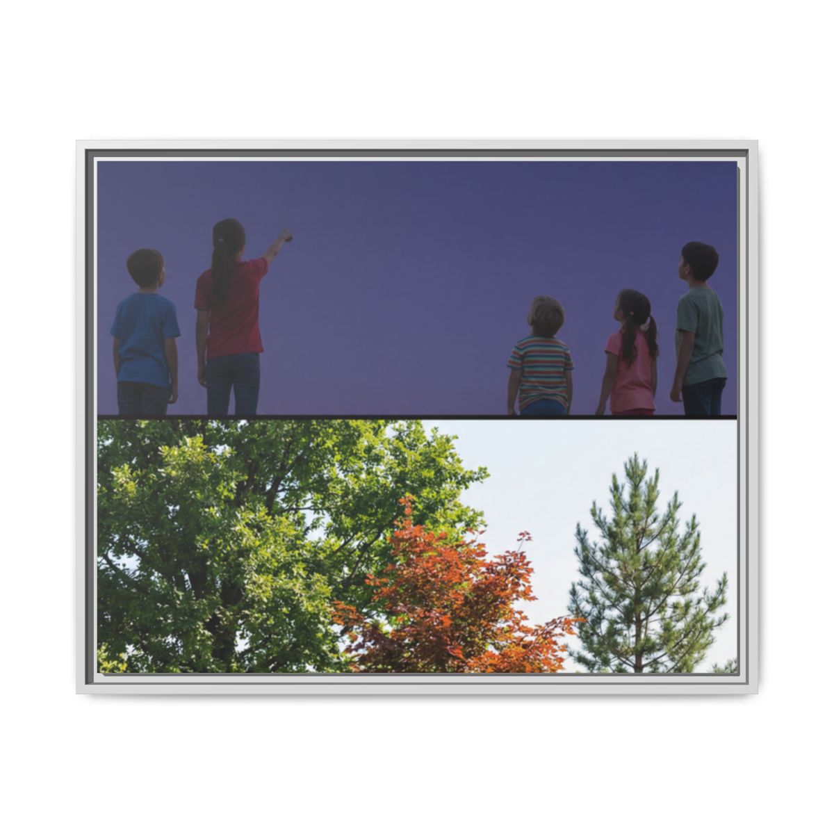 Framed Matte Canvas - Discovery — White / 1.25"