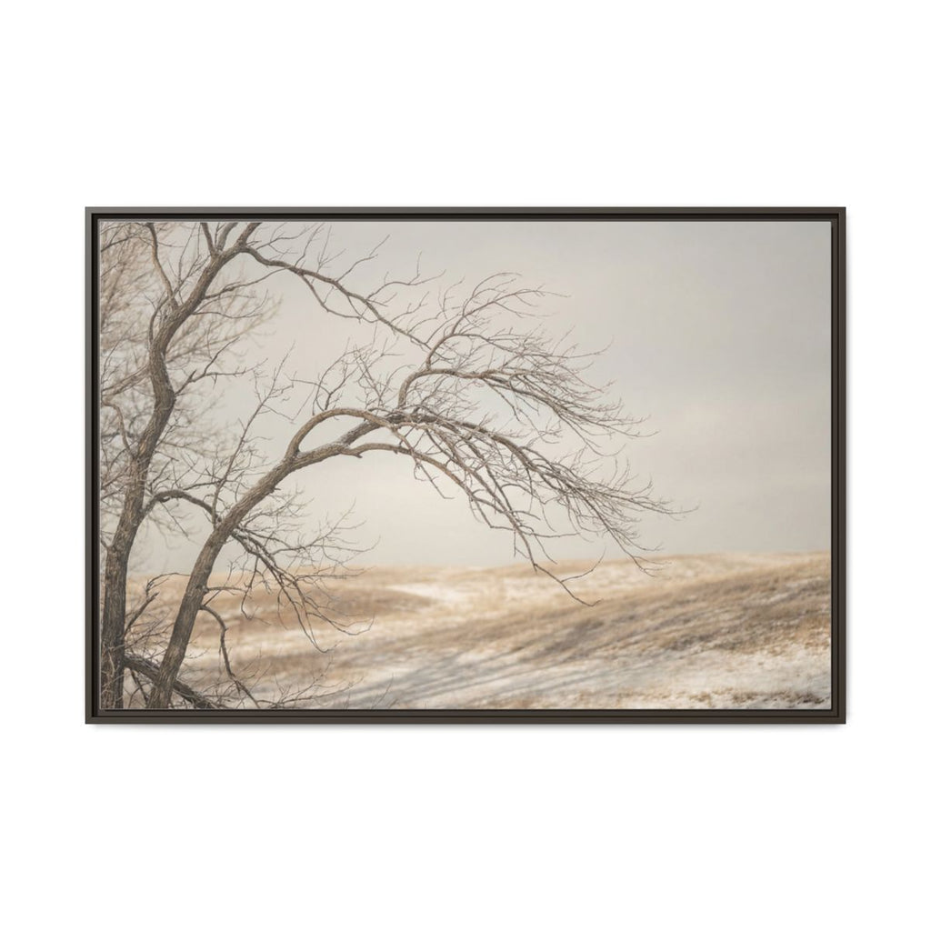 Framed Canvas Art - Minimalist Winter — Espresso / 1.25"