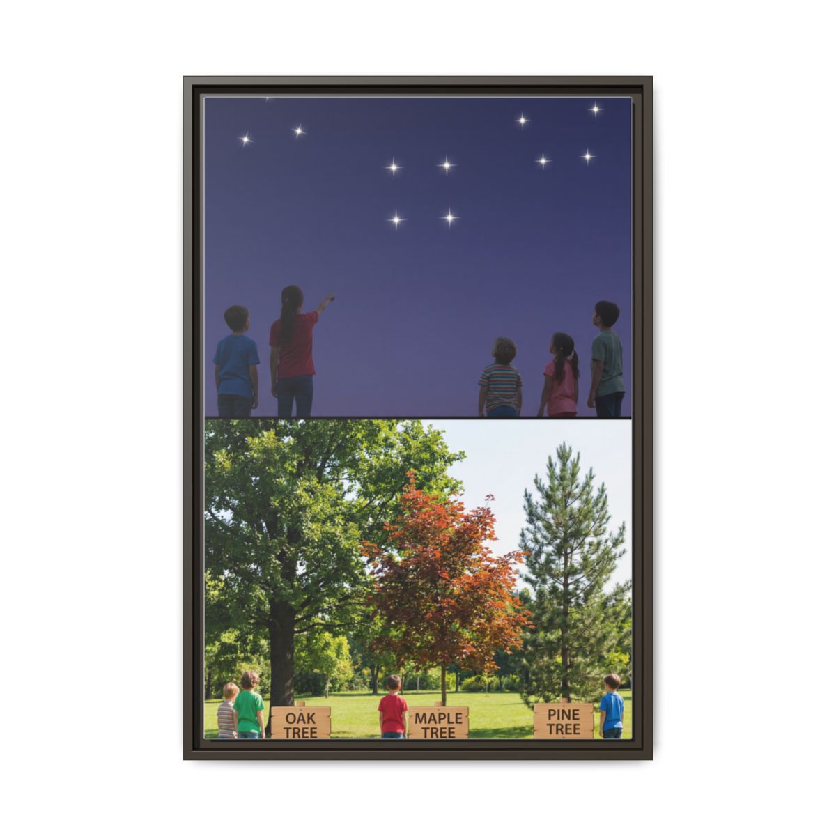 Framed Matte Canvas - Discovery — Espresso / 1.25"