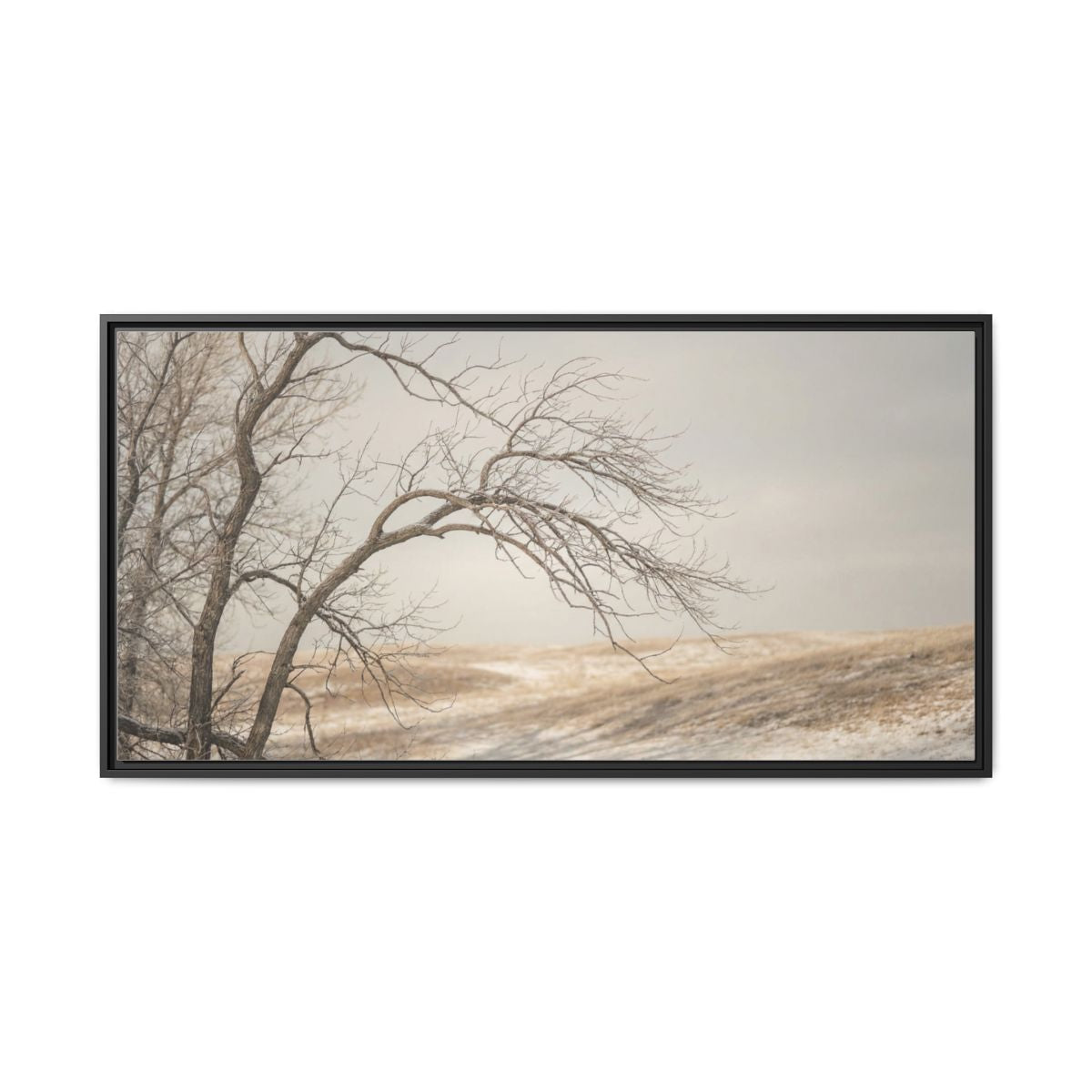 Framed Canvas Art - Minimalist Winter — Black / 1.25"