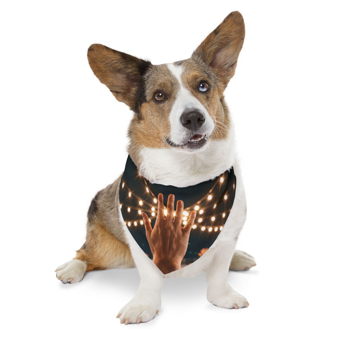 Pet Bandana Collar - Golden Festival Lights Hand Celebration...