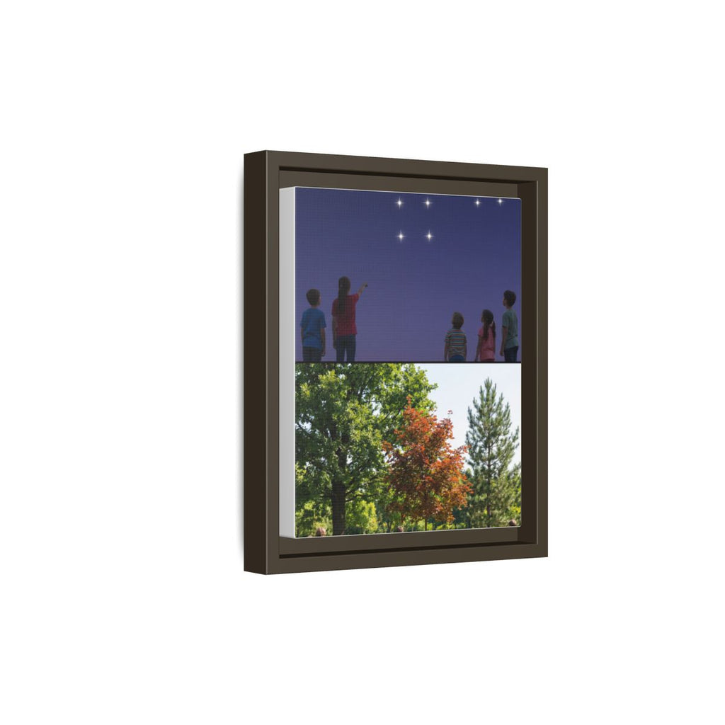 Framed Matte Canvas - Discovery — Espresso / 1.25"