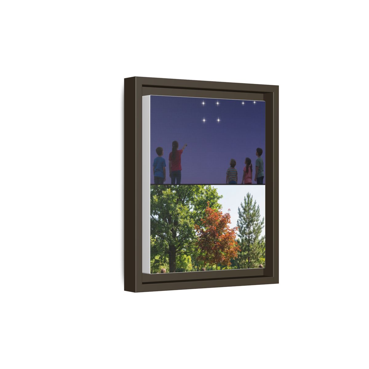 Framed Matte Canvas - Discovery — Espresso / 1.25"