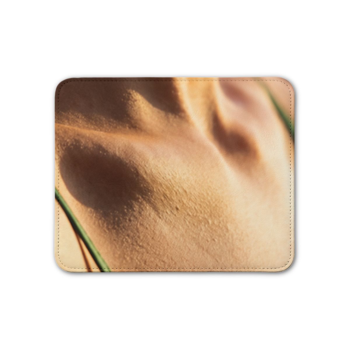 Golden Hour Leather Placemat - Emerald Sunset | Echovira...
