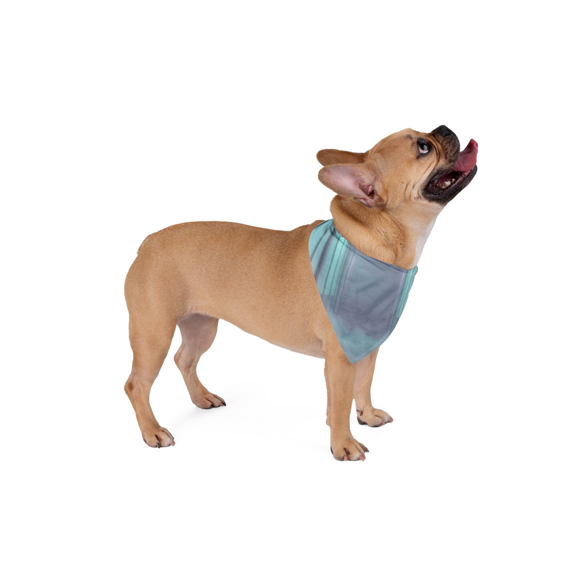 Pet Bandana - Liminal Corridor Fog Art Print | Echovira...