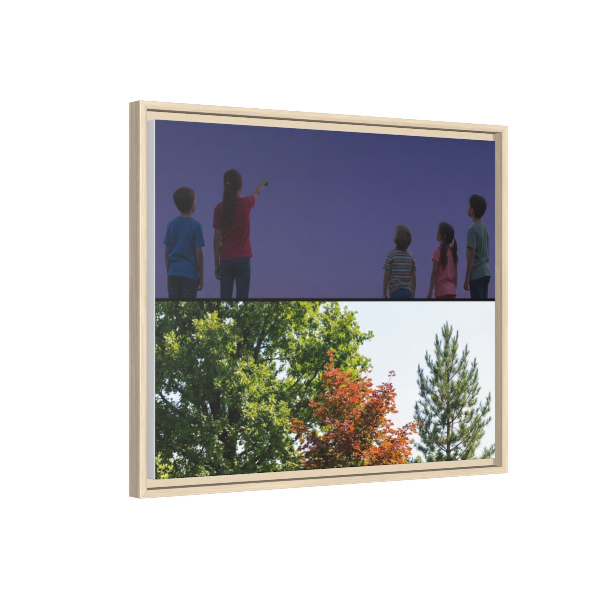 Framed Matte Canvas - Wilderness Gallery — Natural / 1.25"