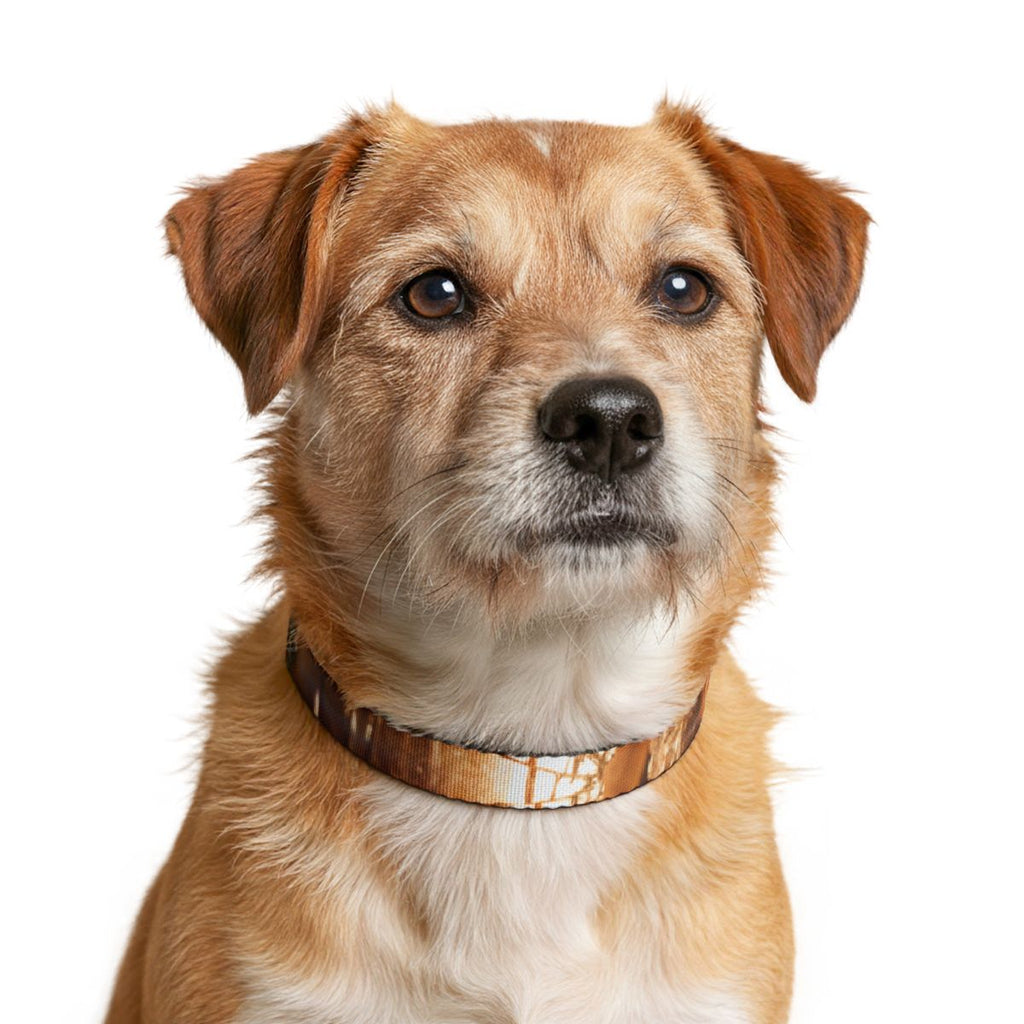 Clip-on Pet Collar - Shattered Light