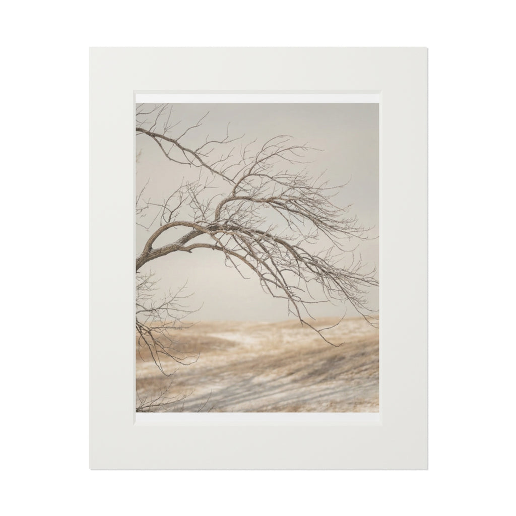 Framed Fine Art Print - Hushed Winter — Portrait
