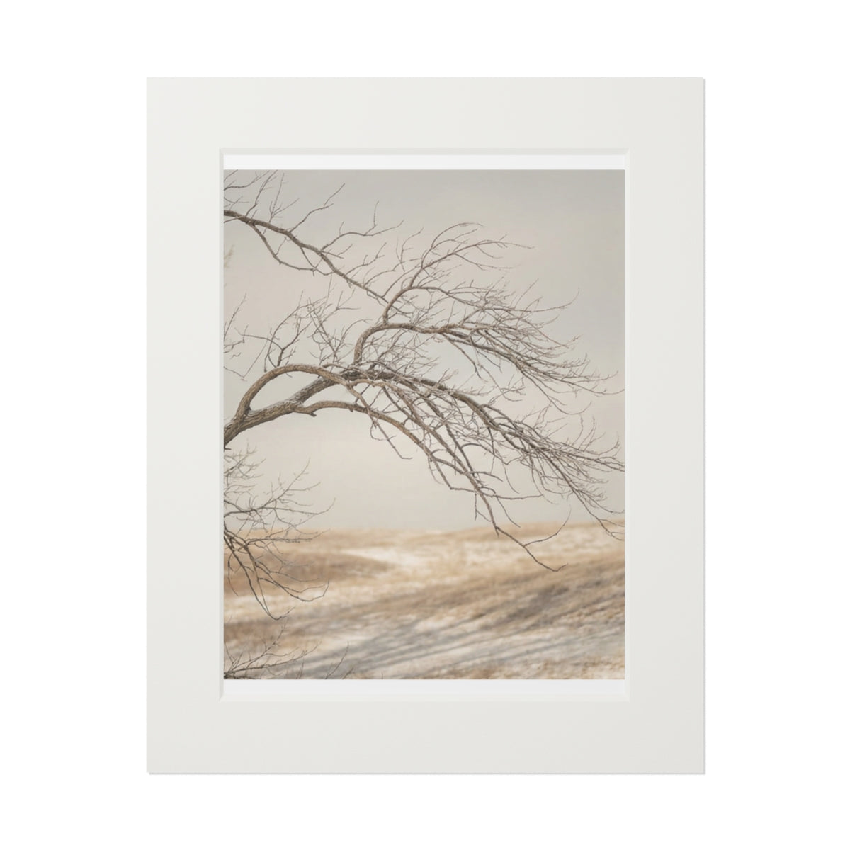 Framed Fine Art Print - Hushed Winter — Portrait