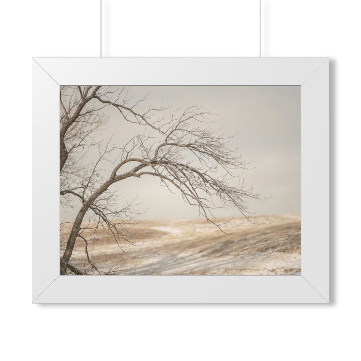Framed Horizontal Poster - Winter Branch Solitude Landscape...