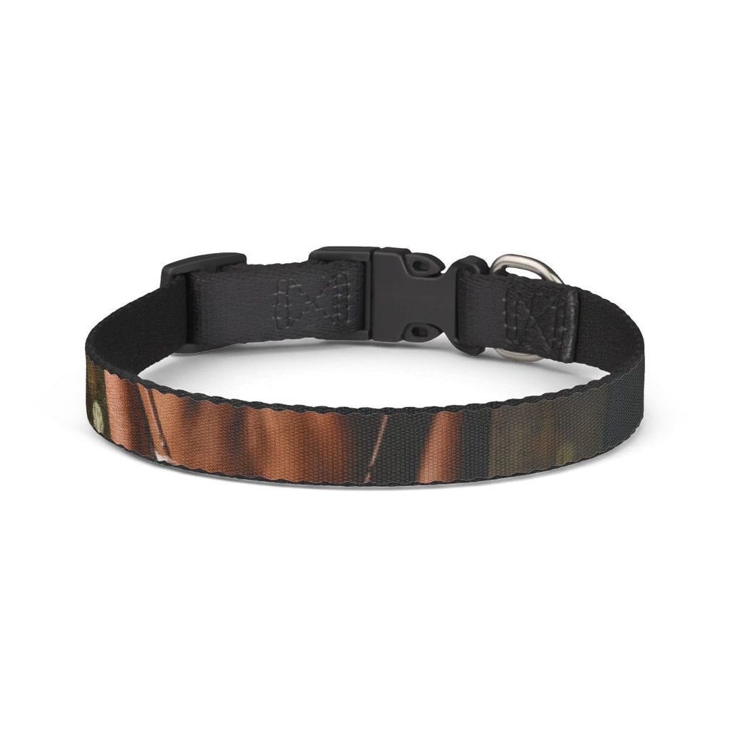 Pet Collar - Midnight Aesthetic Vibe