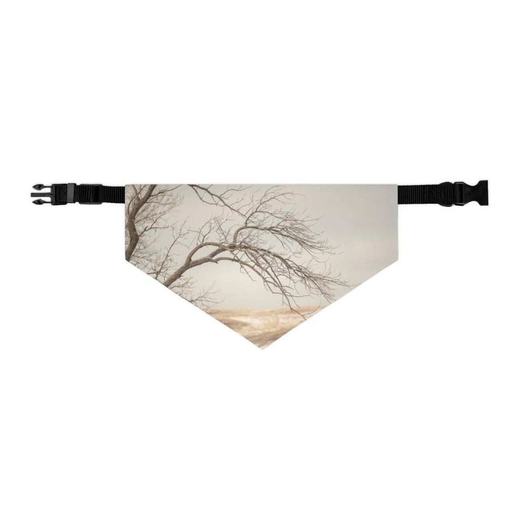 Pet Bandana Collar - Winter Branch Solitude Landscape |...