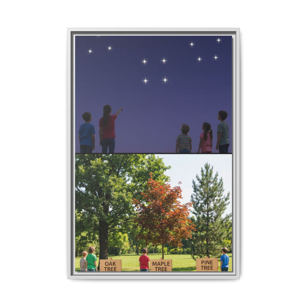 Framed Matte Canvas - Discovery — White / 1.25"