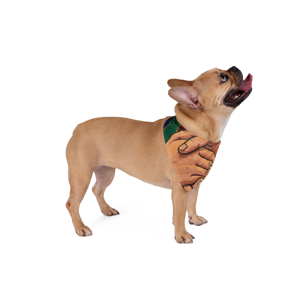 Pet Bandana - Electric Rhythm Connection Art | Echovira...