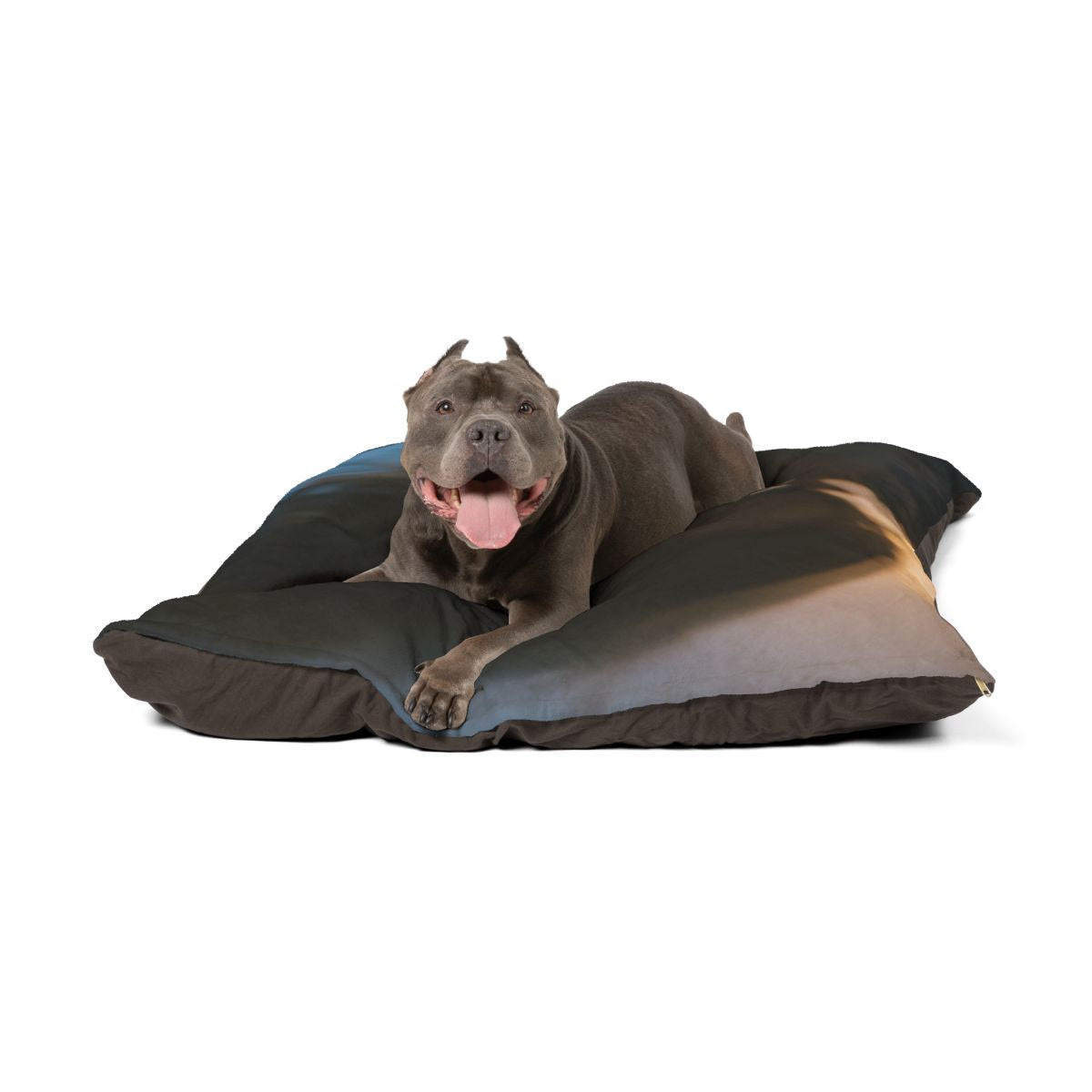 Midnight Reflections Pet Bed - Cozy Artistic Pet Nest |...