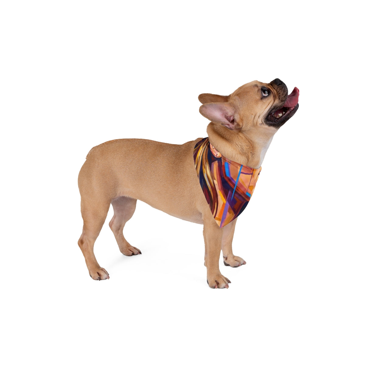 Pet Bandana - Shattered Elegance | Echovira Gallery