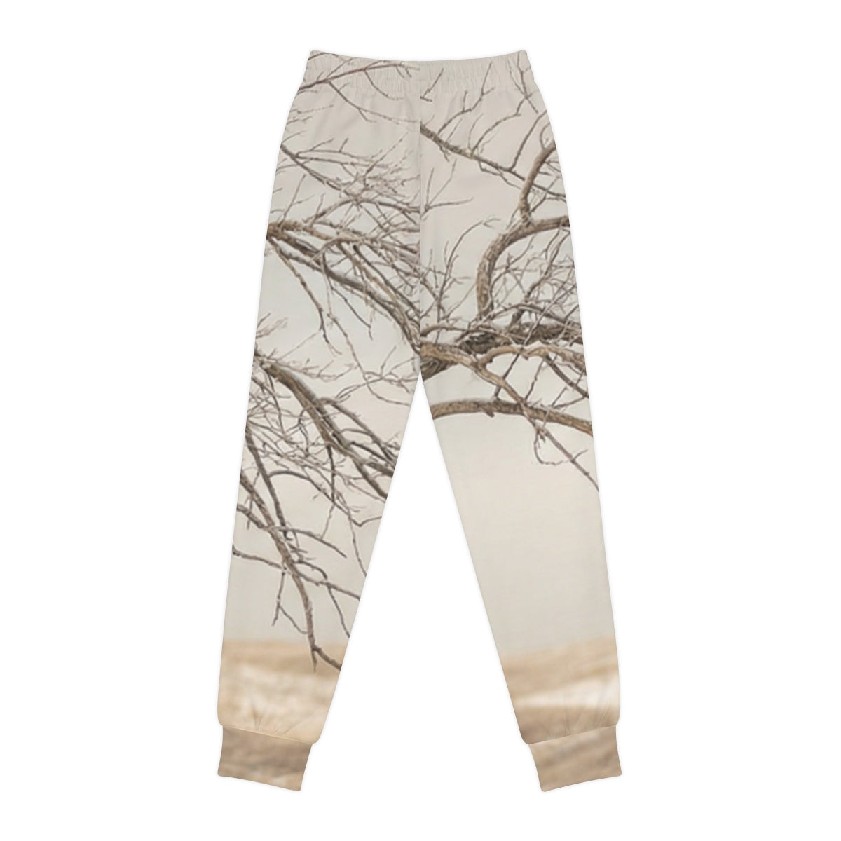 Youth Joggers - Silent Branches Winter Landscape Photo |...