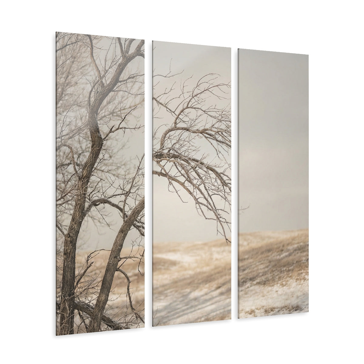 Acrylic Triptych Prints - Quiet Snow — Portrait