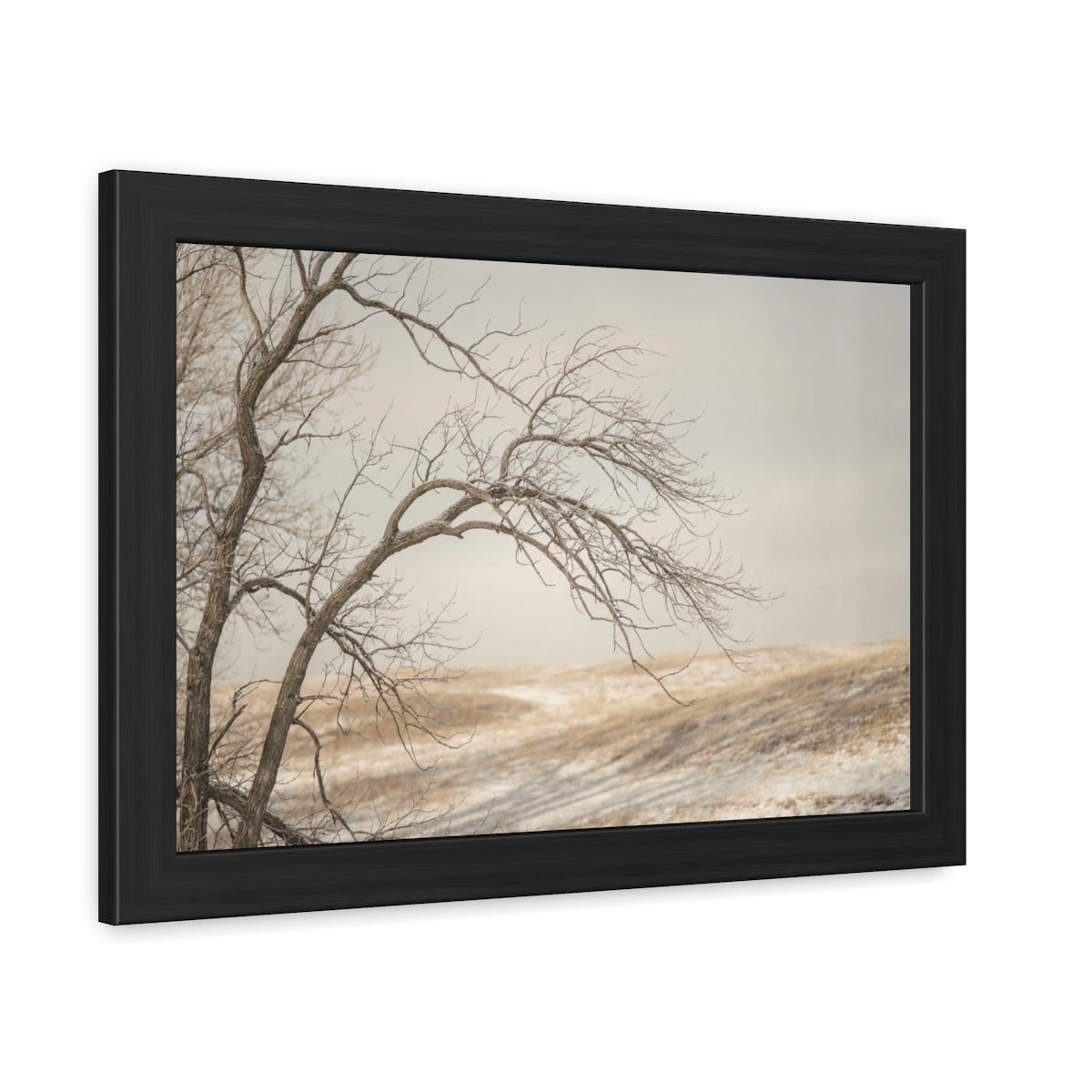 Framed Poster - Minimalist Winter Tree — Landscape