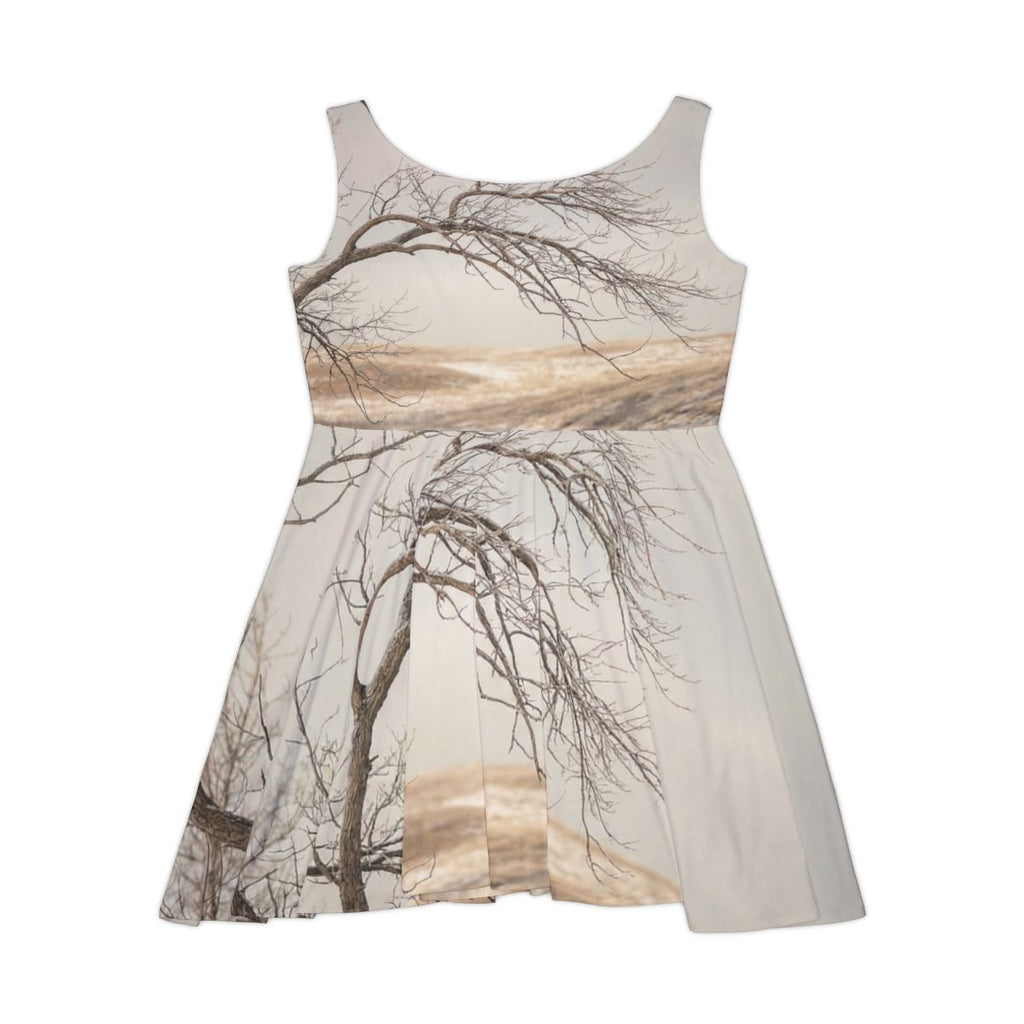 Women's Skater Dress - Winter Branch Solitude Landscape |...