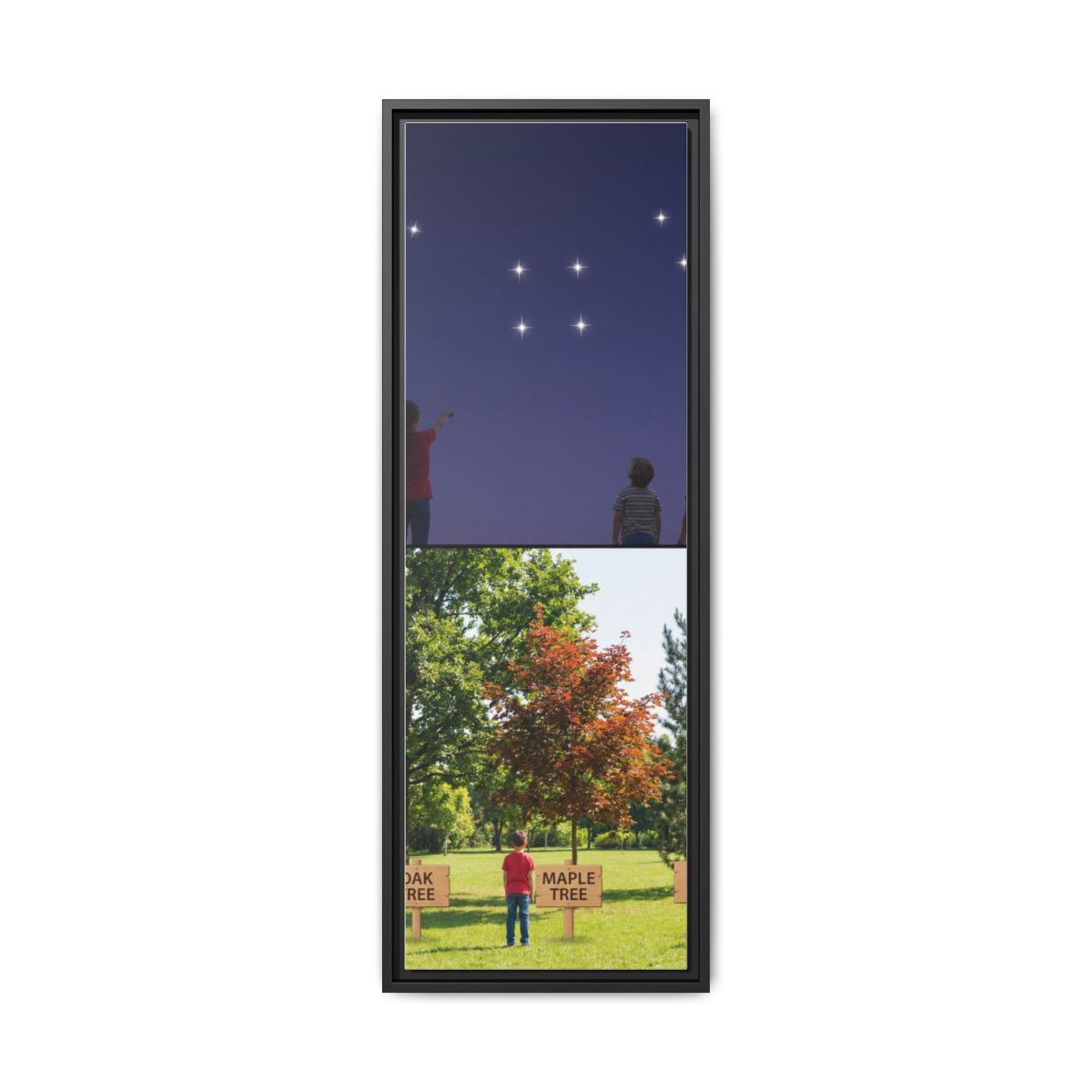 Gerahmte Leinwand (matt) - Discovery — Schwarz / 3,18 cm