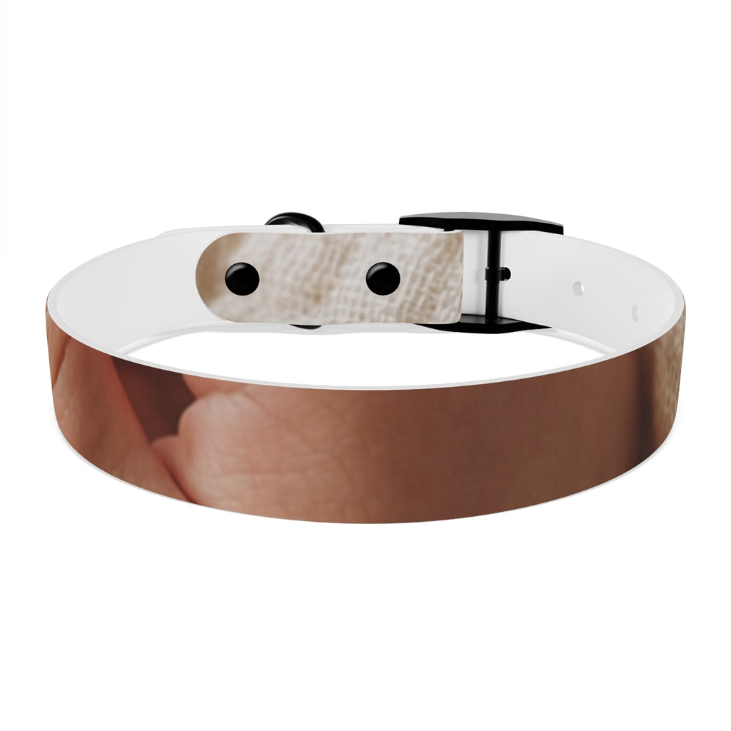 Dog Collar - Earth Toned Pet Style