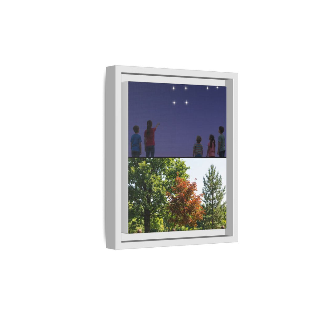Framed Matte Canvas - Discovery — White / 1.25"