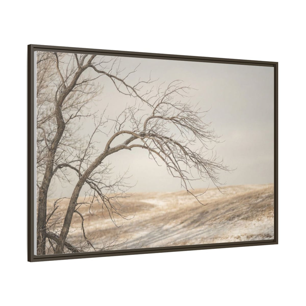 Framed Canvas Art - Minimalist Winter — Espresso / 1.25"