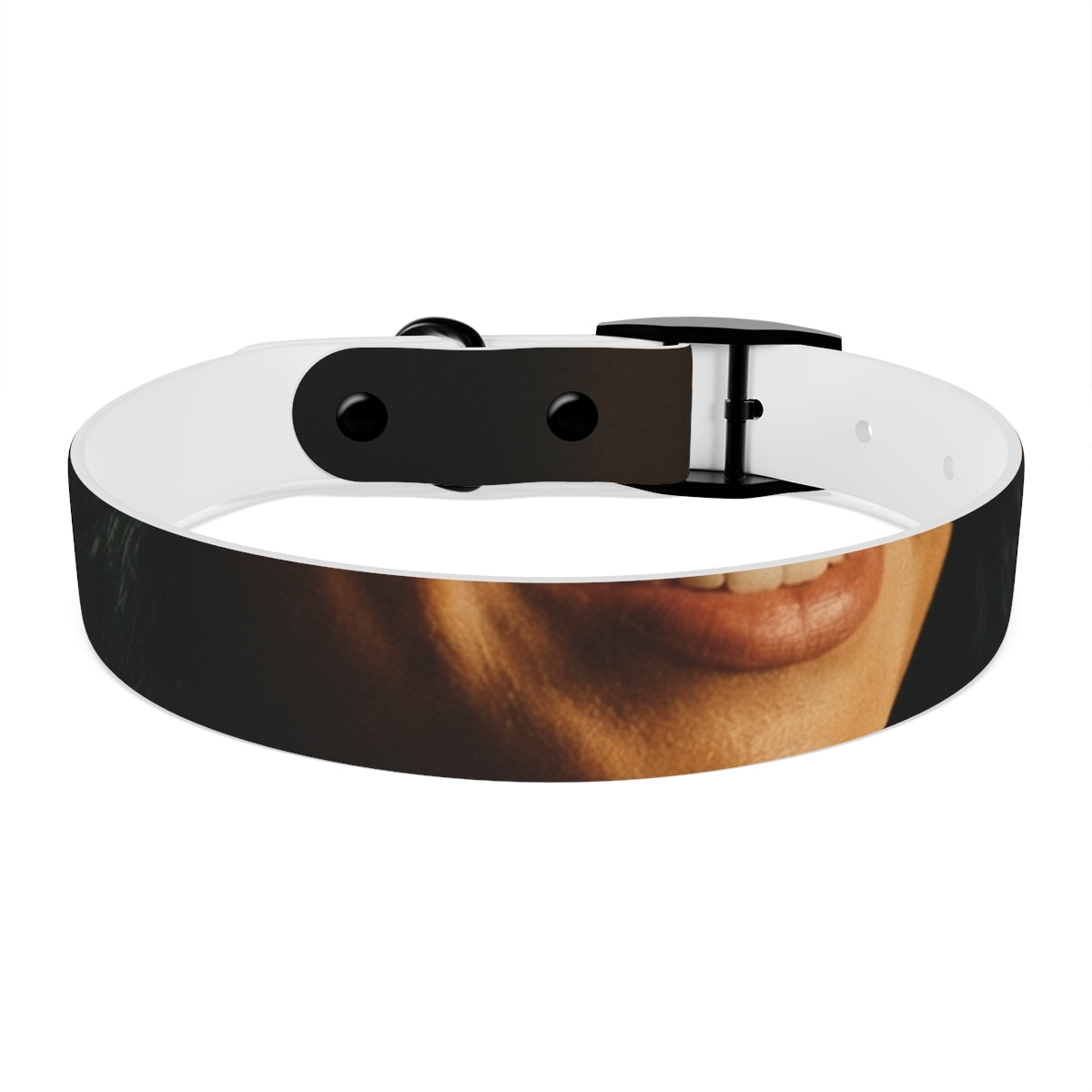 Dog Collar - Night Luxe Radiance