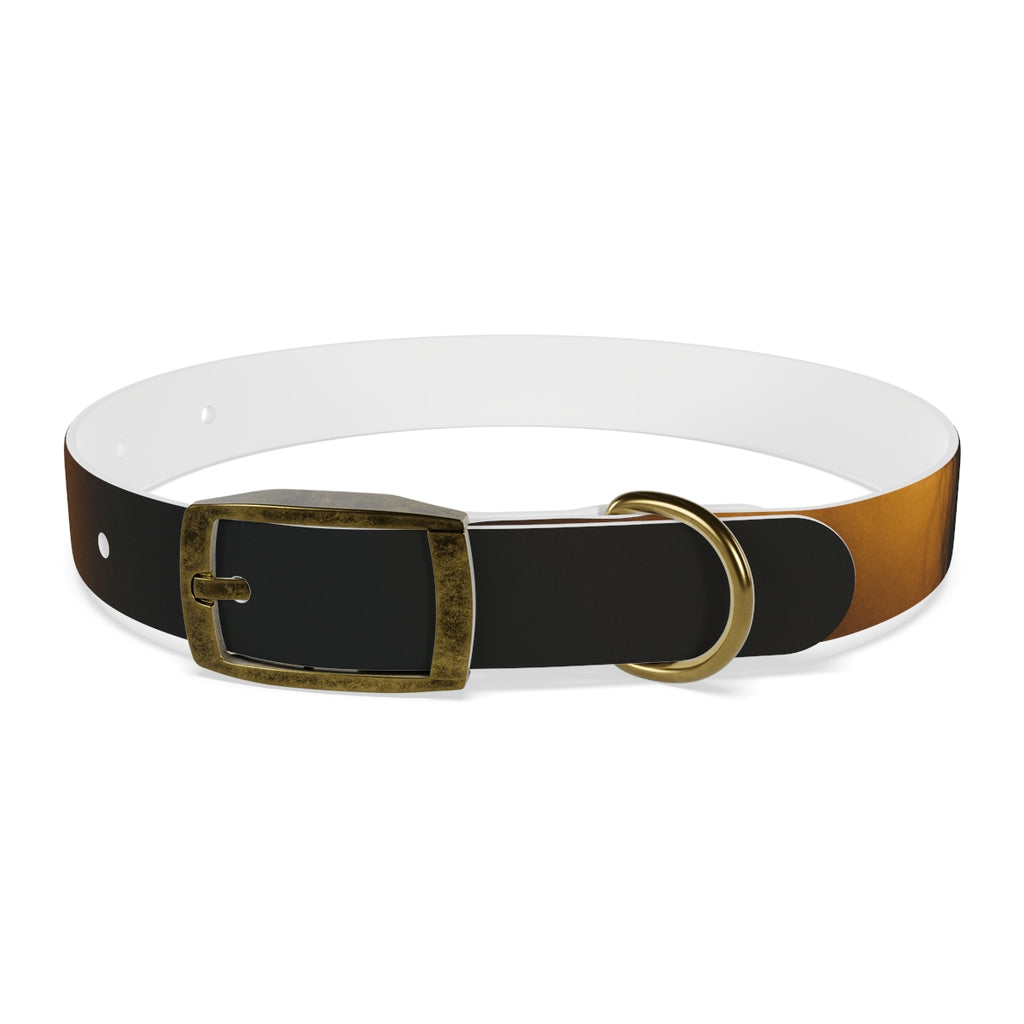 Dog Collar - Night Luxe Radiance