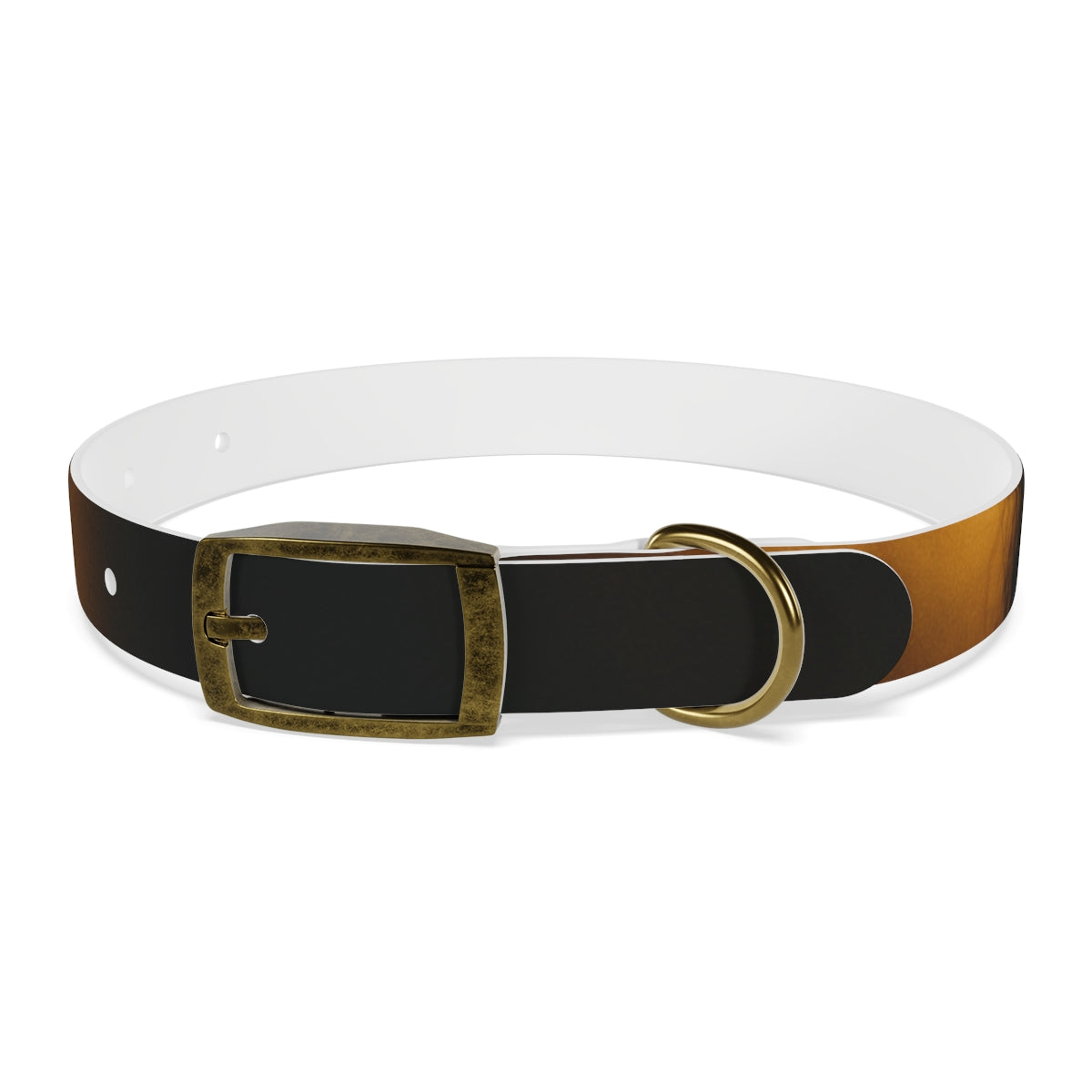 Dog Collar - Night Luxe Radiance