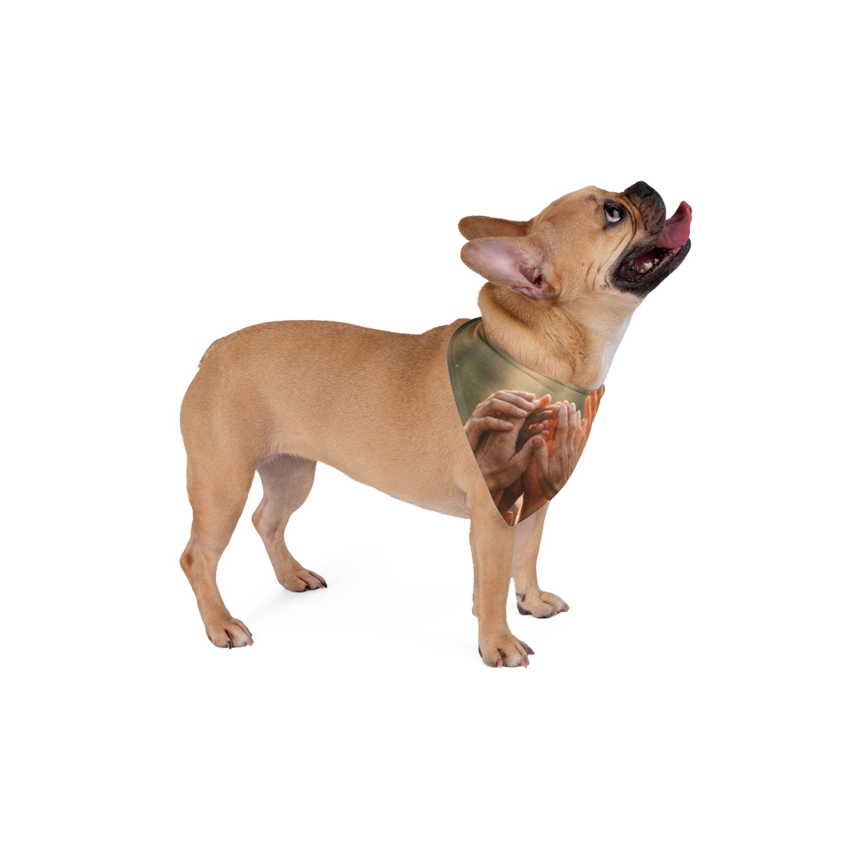 Pet Bandana - Golden Rays of Unity Wall Art | Echovira...