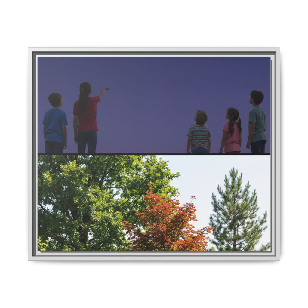 Framed Matte Canvas - Discovery — White / 1.25"