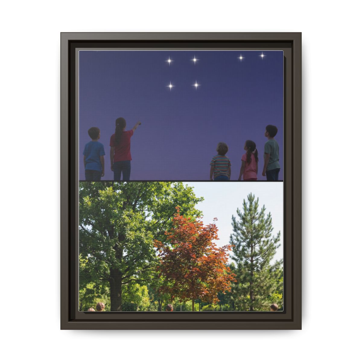 Framed Matte Canvas - Discovery — Espresso / 1.25"