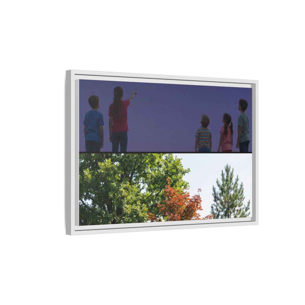 Framed Matte Canvas - Discovery — White / 1.25"