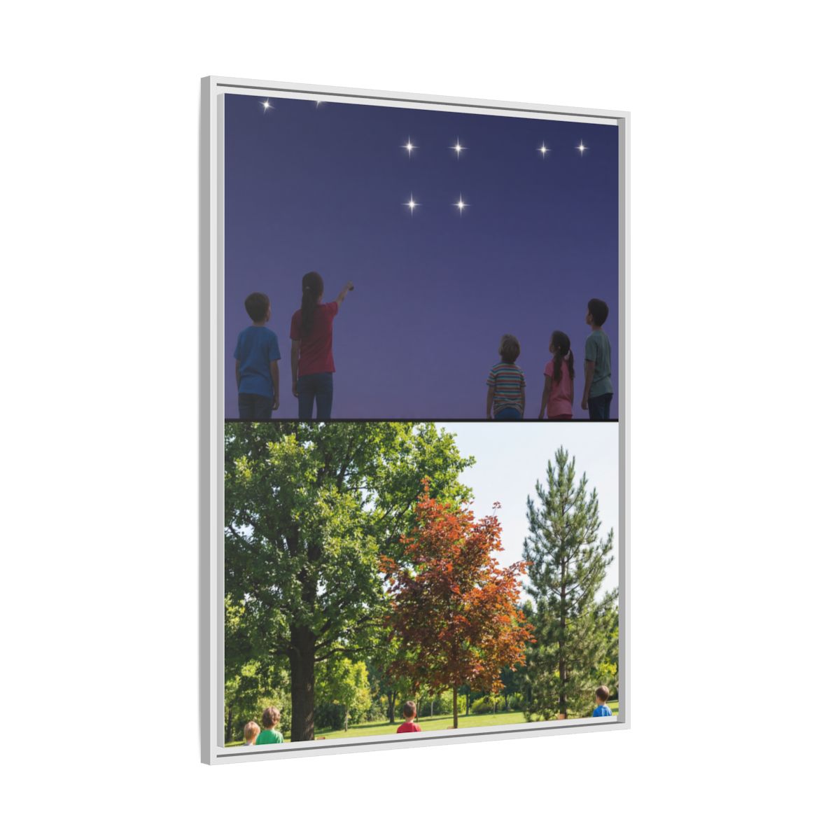 Framed Matte Canvas - Discovery — White / 1.25"