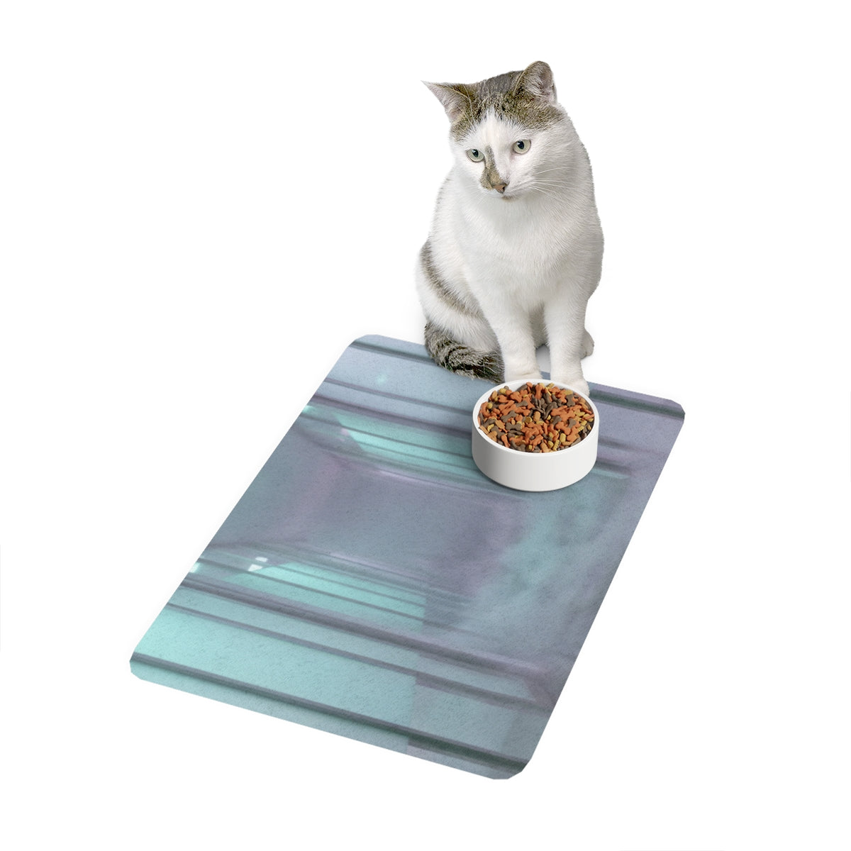 Pet Food Mat - Liminal Corridor Fog Art Print | Echovira...