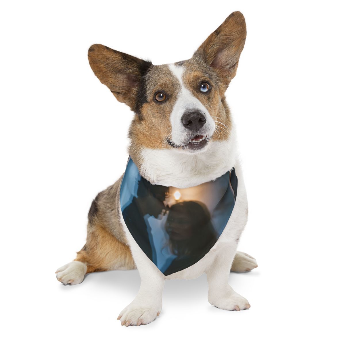 Midnight Reflections Bandana Collar - Moody Dog Collar |...