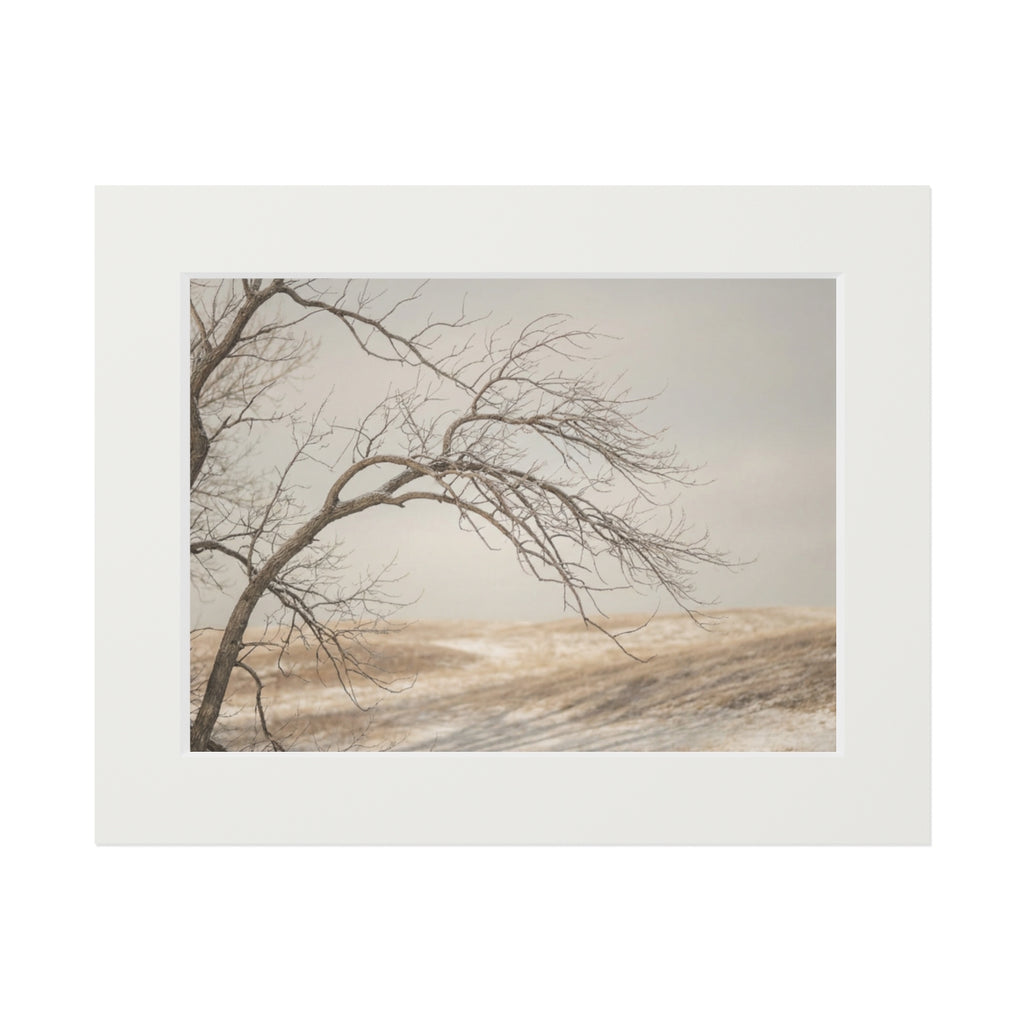 Framed Fine Art Print - Hushed Winter — Landscape