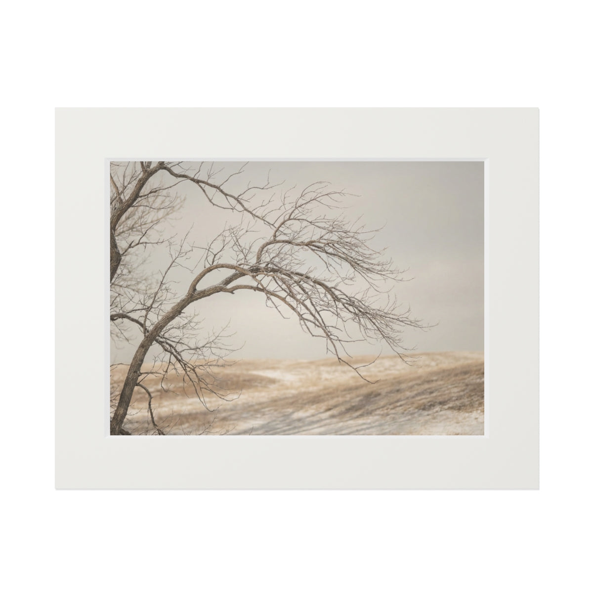 Framed Fine Art Print - Hushed Winter — Landscape