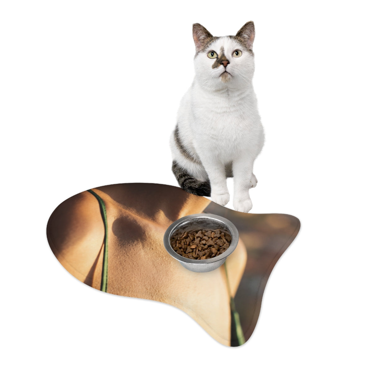 Pet Feeding Mat - Sunlit Station