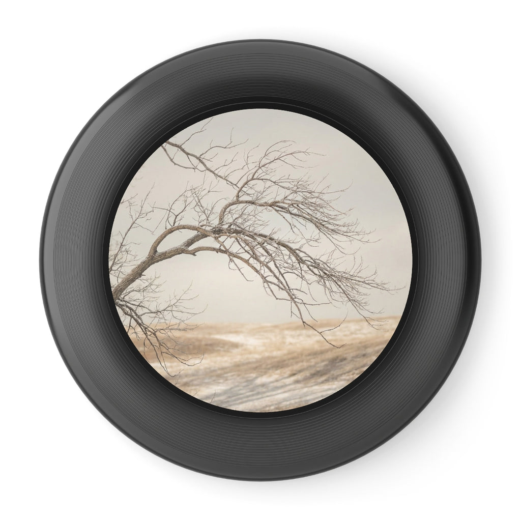 Wham-O Frisbee - Winter Branch Solitude Landscape | Echovira...